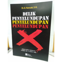 Image of DELIK PENYELUNDUPAN PENYELUNDUPAN PENYELUNDUPAN