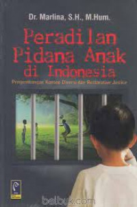 Image of Peradilan Pidana Anak di Indonesia