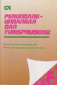 Image of PERUNDANG-UNDANGAN DAN YURISPRUDENSI