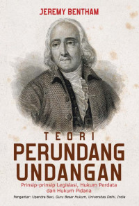Image of Teori Perundang-undangan : Prinsip-prinsip Legislasi, Hukum Perdata dan Hukum Pidana